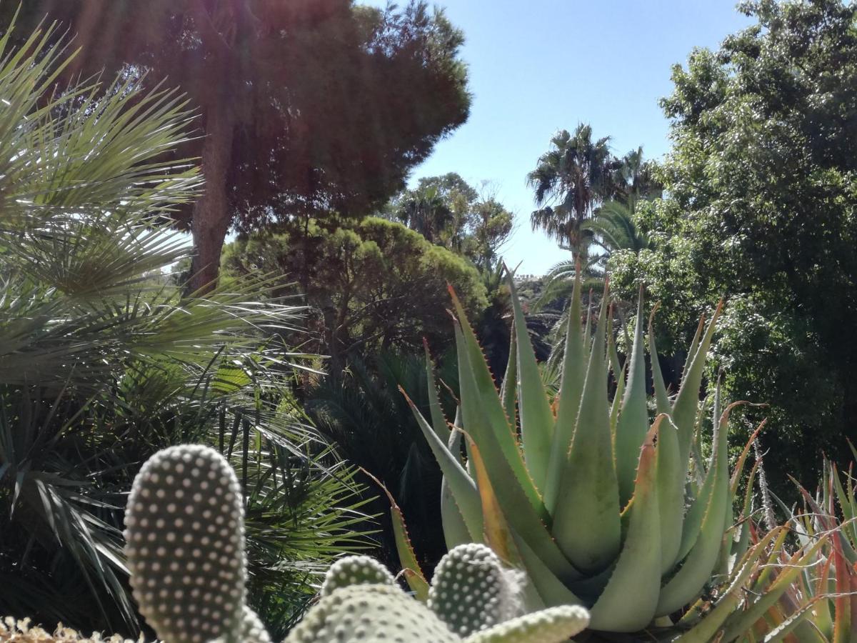 Su Murdegu Cagliari Exteriör bild